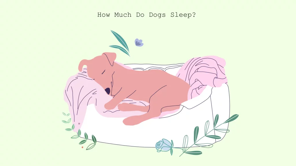 illustration of Exercise for Good Sleep
