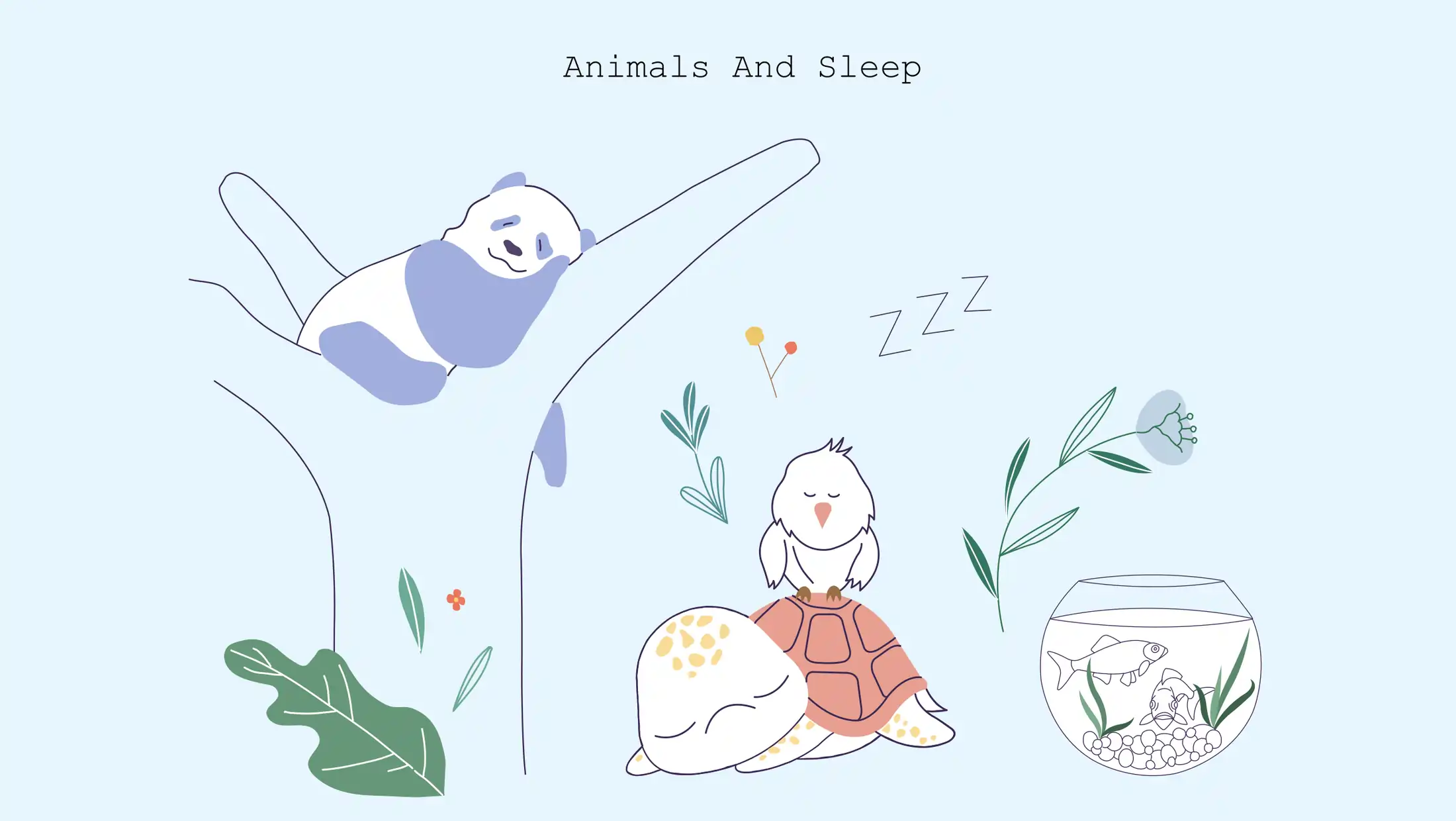 xxx animals and sleep illustration Illustration of Animals Sleep