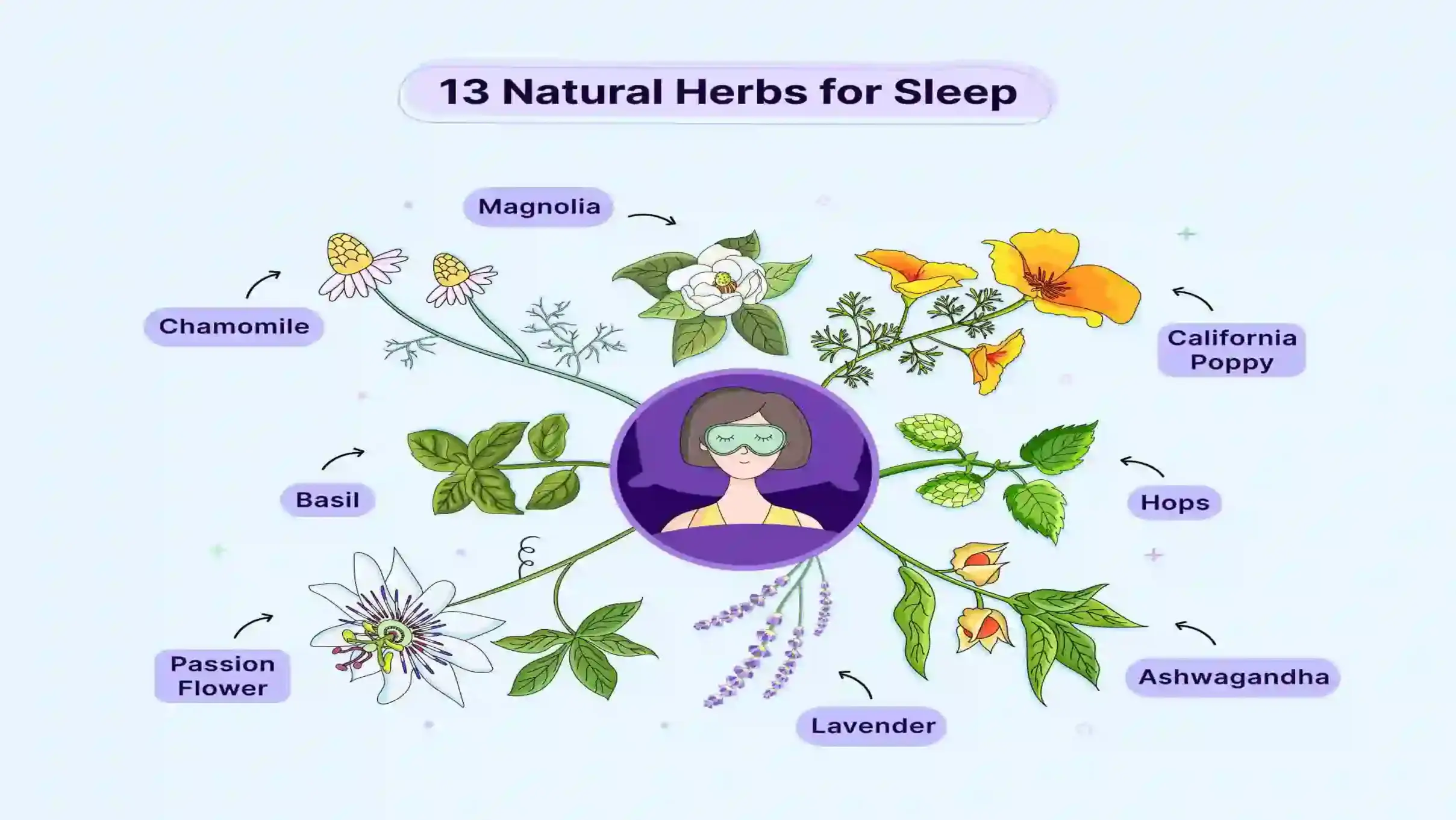 13 Natural Herbs For Sleep 1 13-Natural-Herbs-For-Sleep