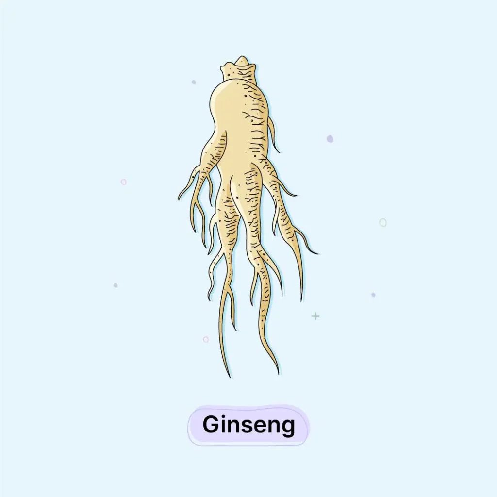 Ginseng Herb Ginseng-Herb