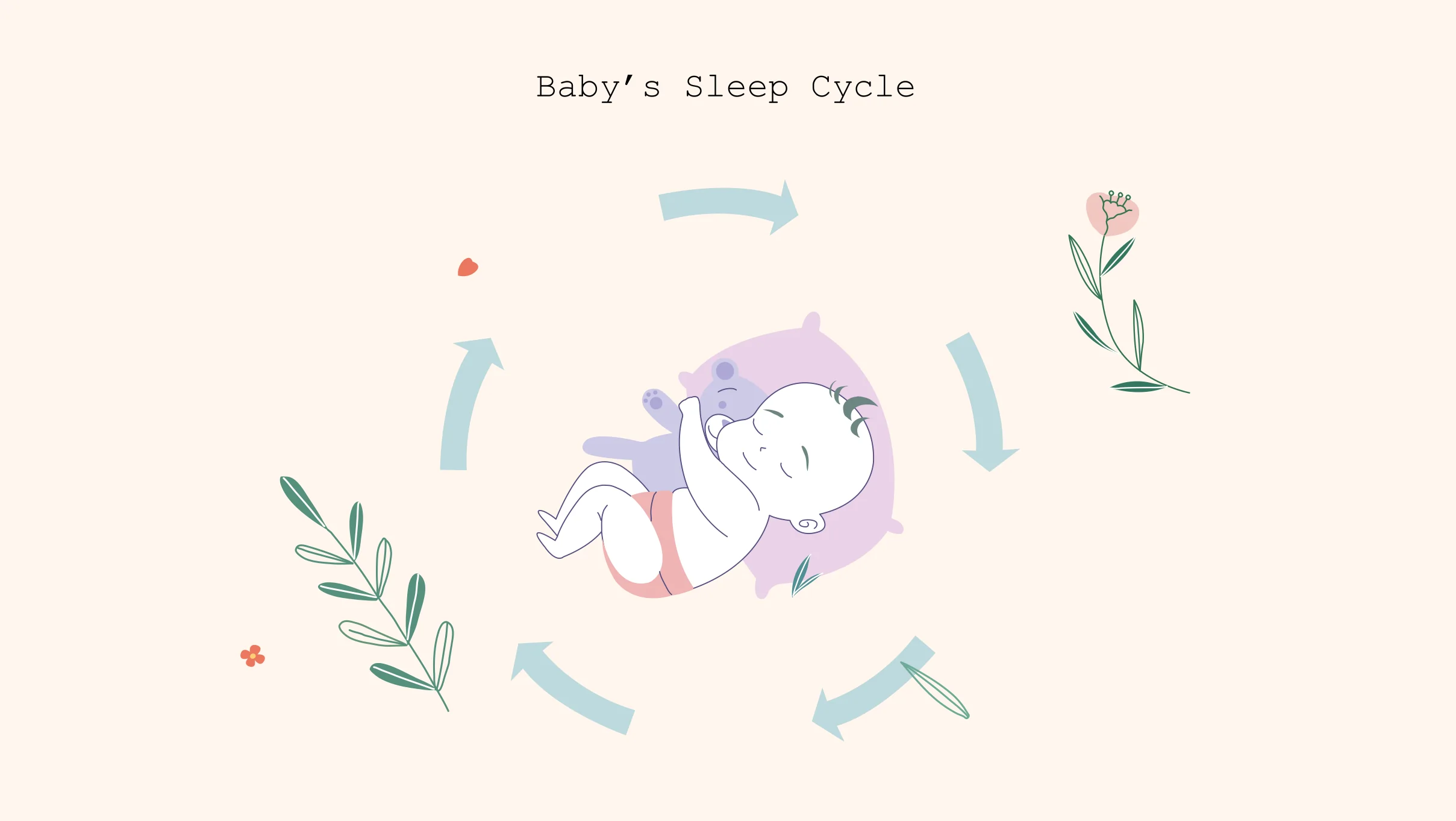 xxx Babys sleep cycle baby's sleep cycle