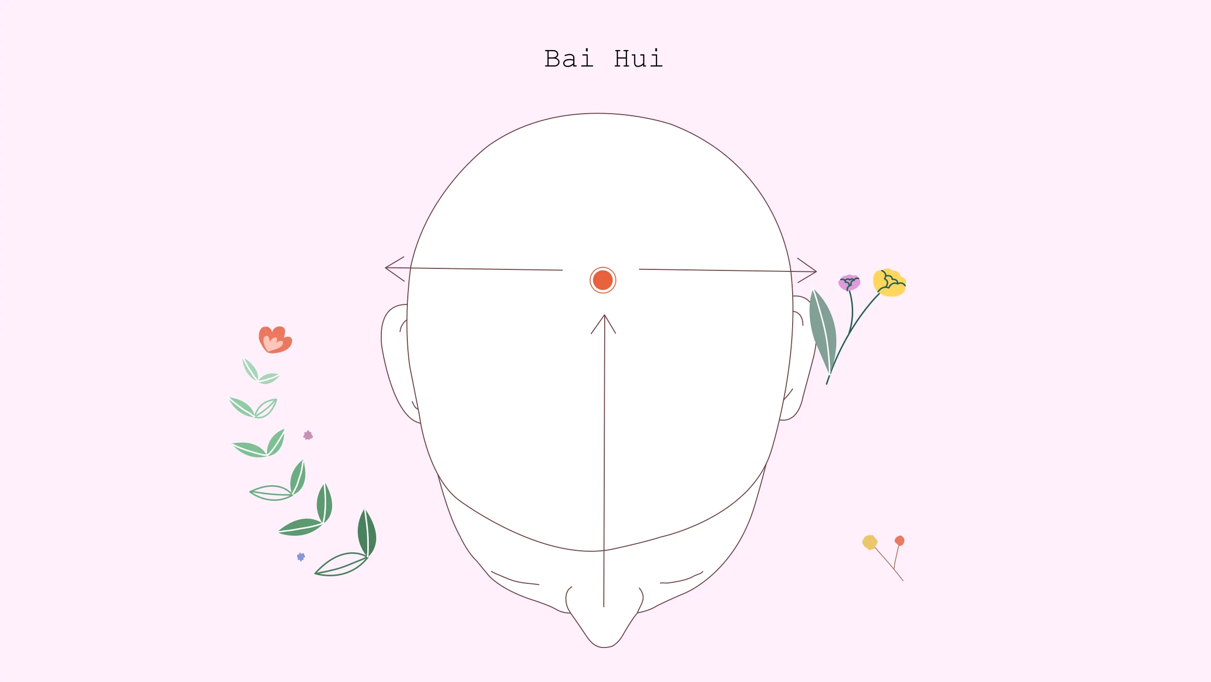 xxx Bai hui Bai Hui