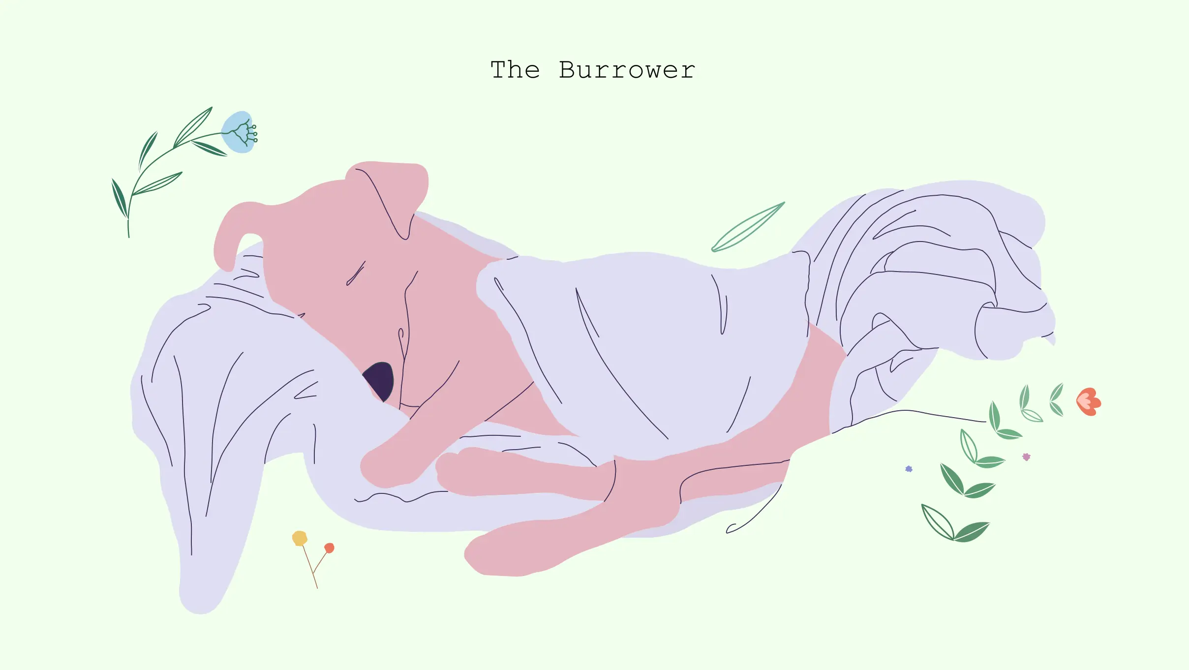 xxx Burrower Burrower dog sleeping position
