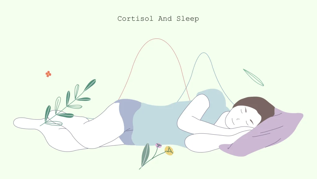 cortisol and sleep