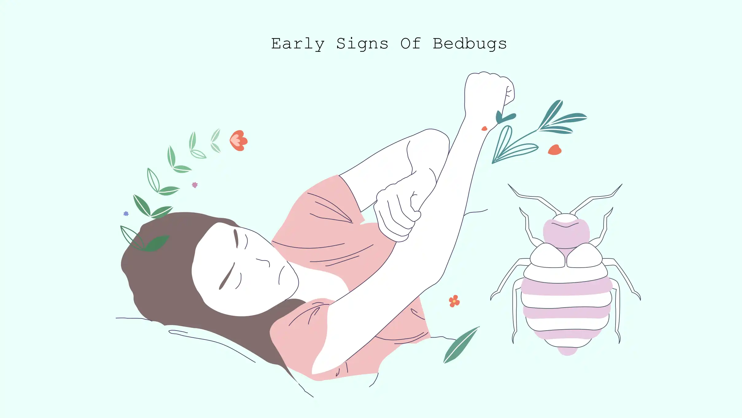 xxx Early signs of bedbugs Early signs of bedbugs