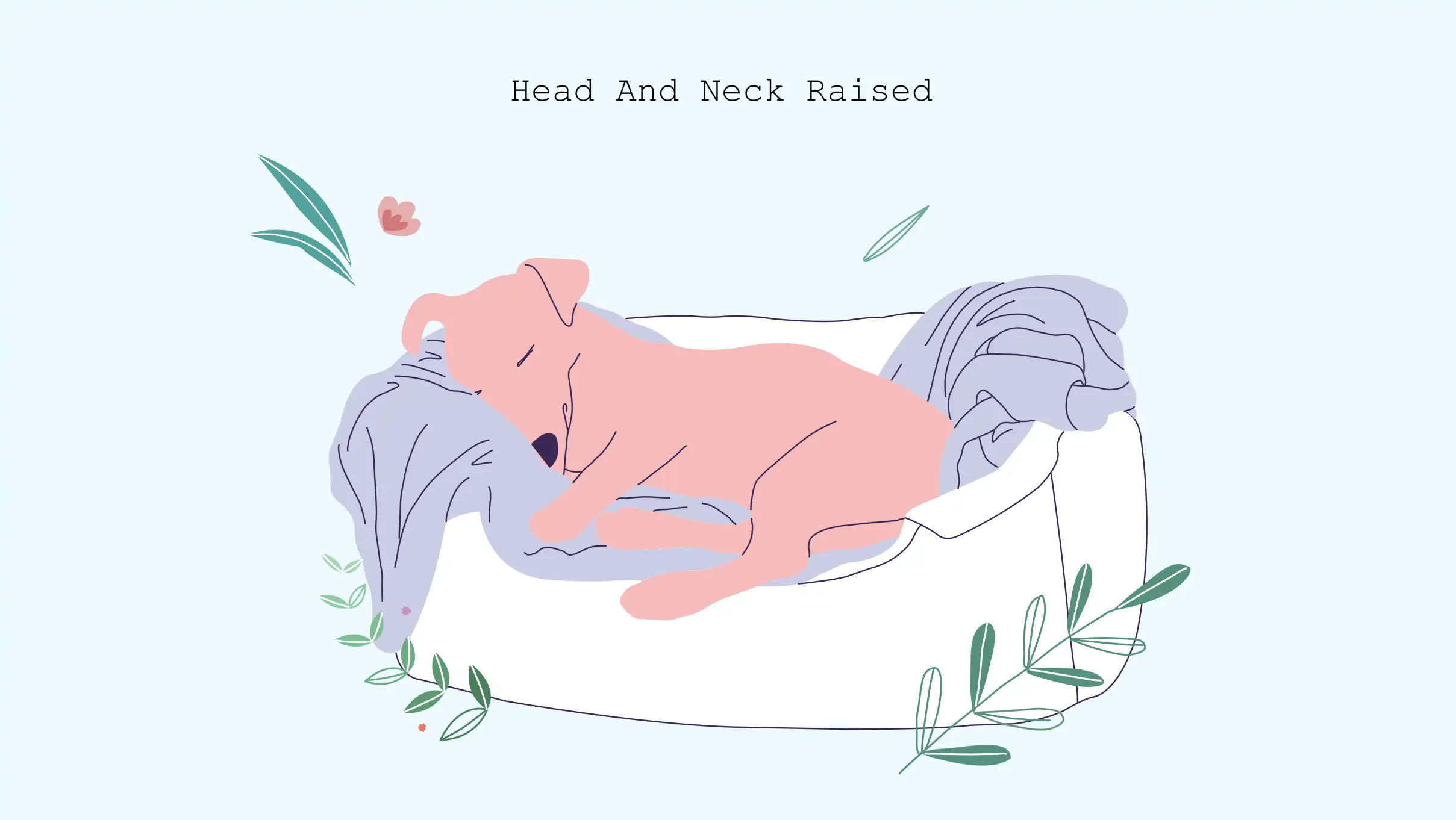 xxx Head and neck raised Head and neck raised -Dog sleeping position