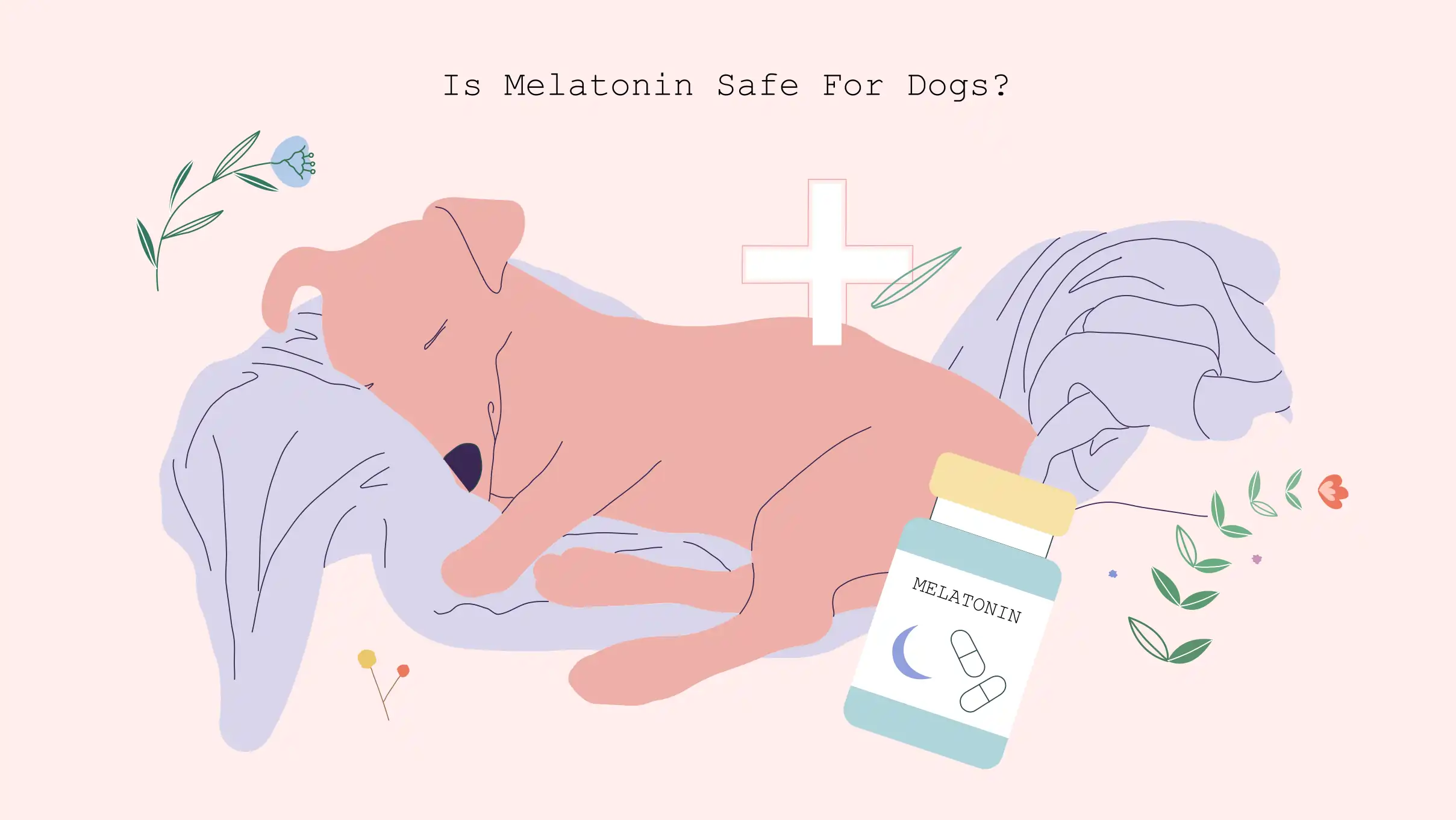Is Melatonin Safe for Dogs?