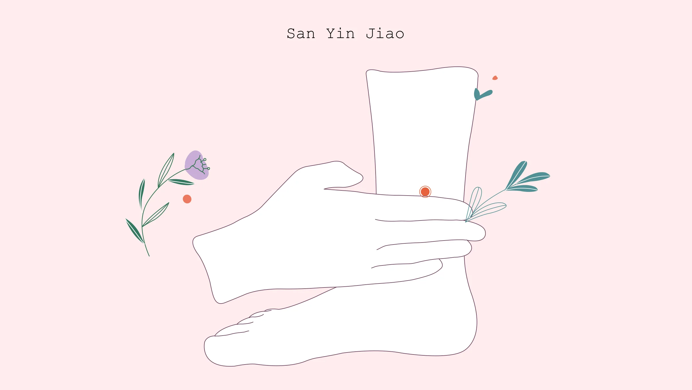 xxx San yin jiao San Yin Jiao
