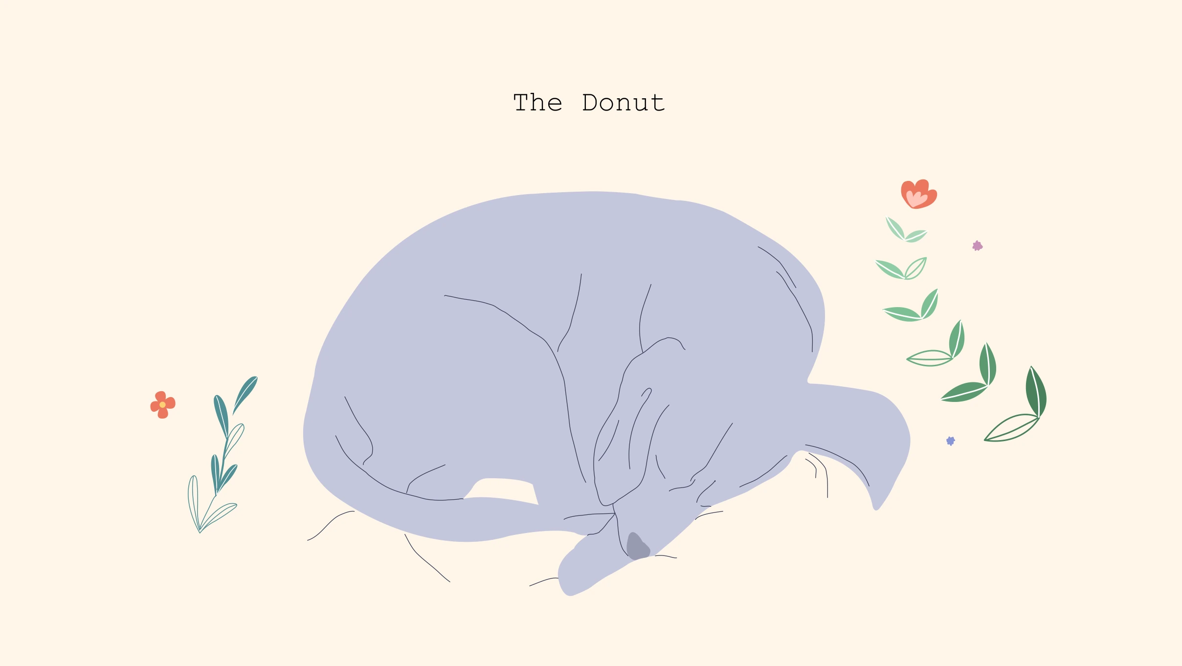 xxx The Donut Dog sleeping in donut position