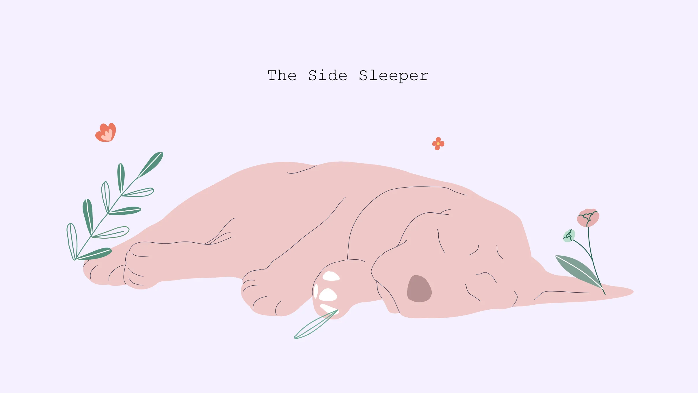 xxx The Side sleeper The Side sleeper