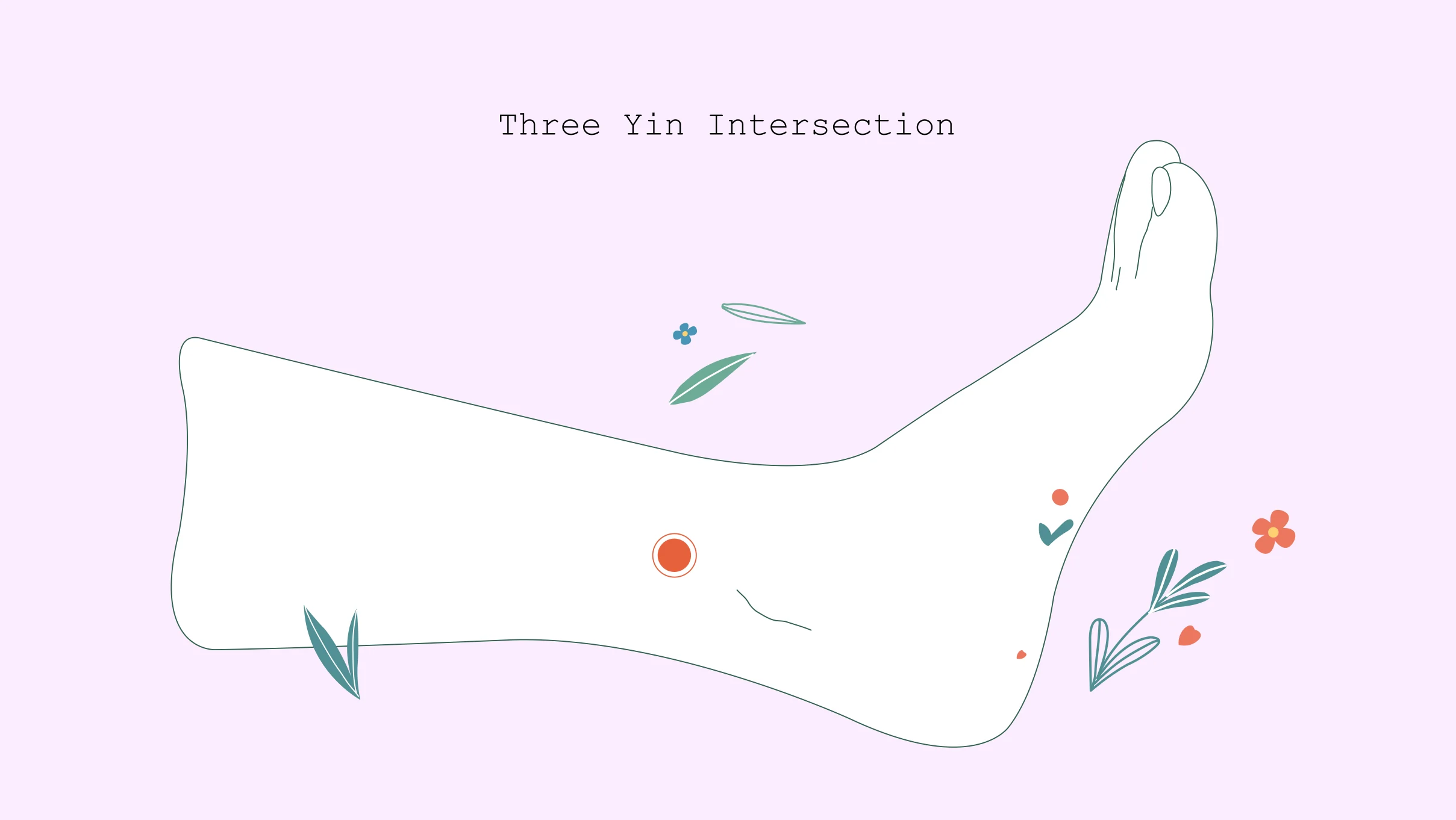 xxx Three yin intersection Three Yin Intersection