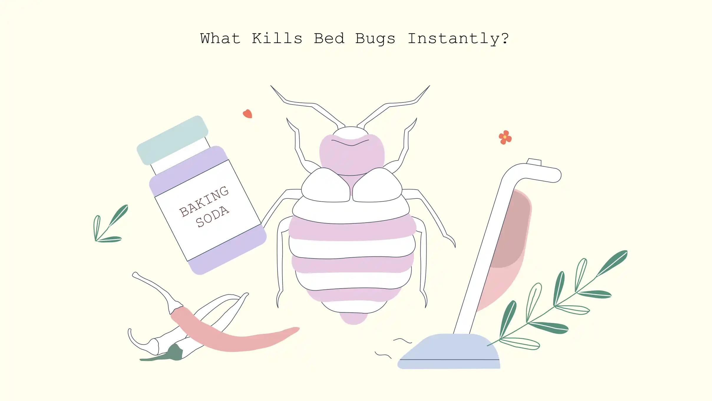 xxx What kills bed bugs instantly 1 What kills bed-bugs instantly